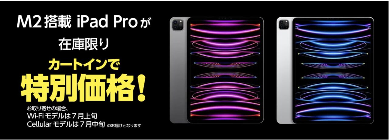 最終値下げ！！！！iPad Pro 11インチ 256 GB 重かっ ケース付き